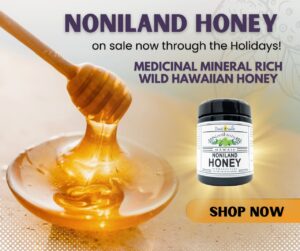 NoniLand Honey